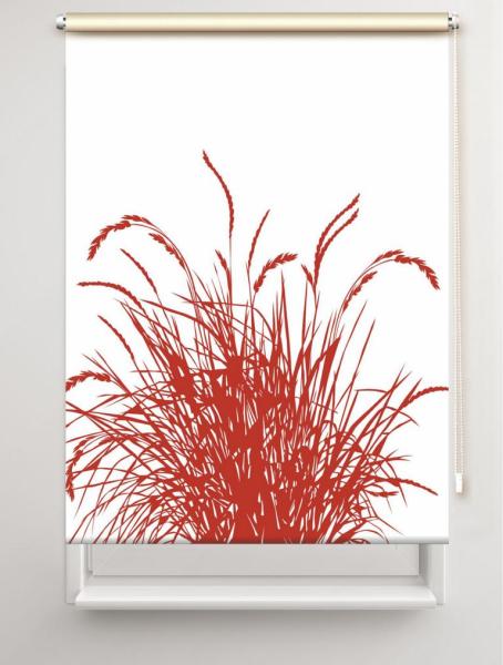 Rollo Reed24 rot, Rollo, Motivrollo, Rollo mit Druck, Fotorollo, bedrucktes Rollo, Fensterrollo,verdunkelndes Rollo, Sonnenschutz Rollo